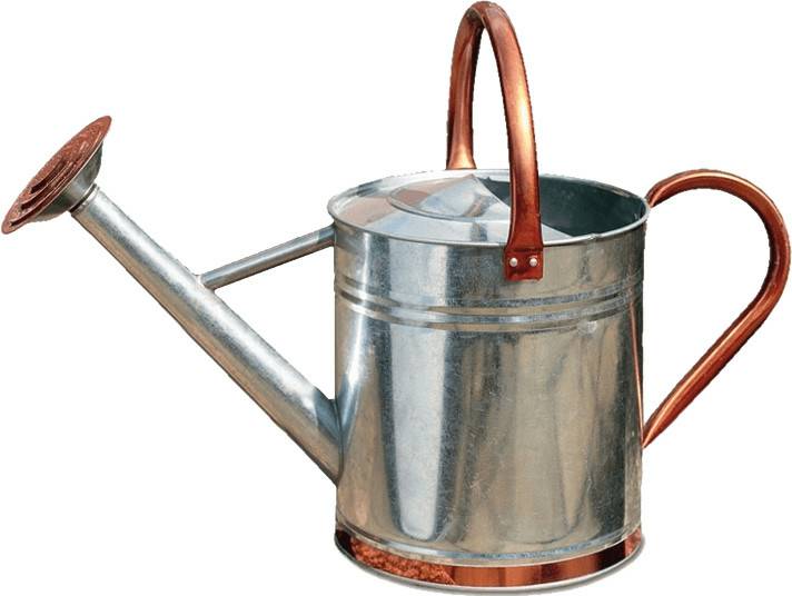 Arrosoirs Gardman Arrosoir acier galvanisé 9 L