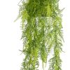 Emerald Asperges Plumosus artificielle – 80 cm Plantes artificielles