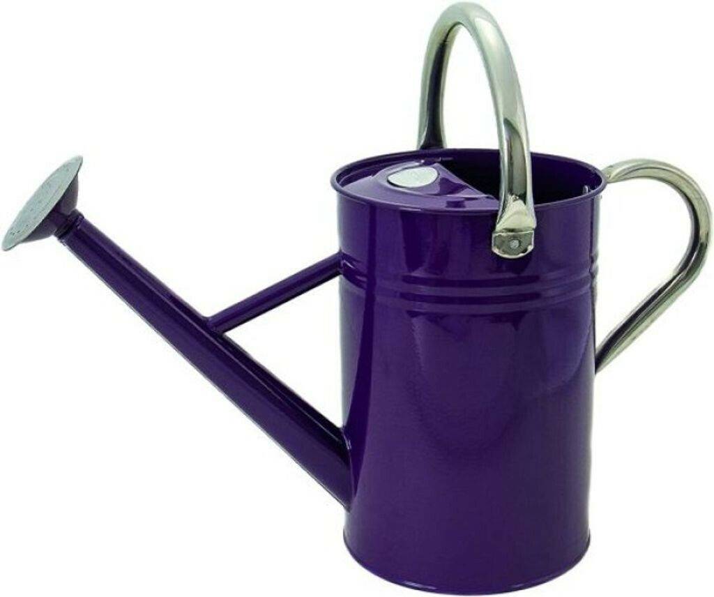 Kent & Stowe Alloy Steel Watering can 4.5 L violet Arrosoirs