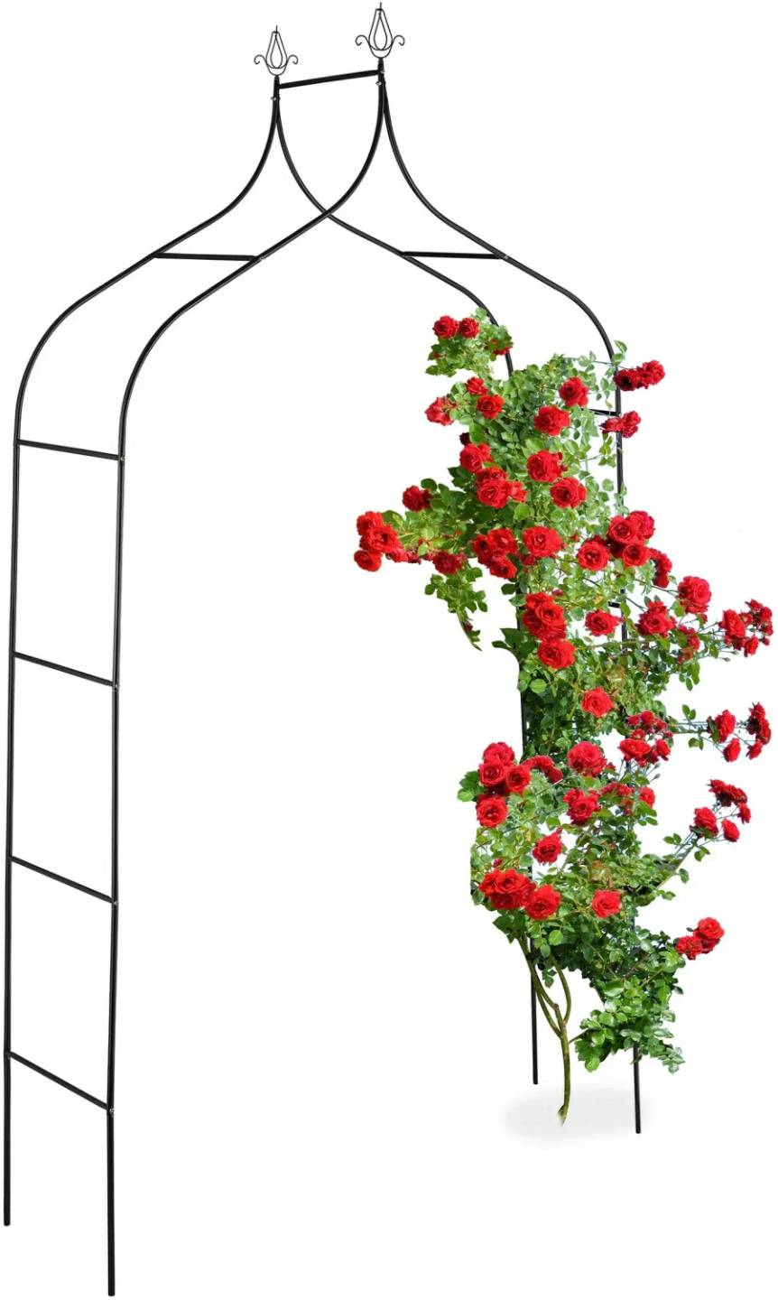 Arches de jardin Relaxdays Arche à rosier en métal pour jardin 260 x 140 x 38 cm