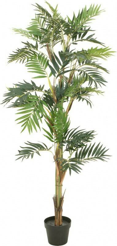 Europalms Palmier de salon – 150 cm Plantes artificielles